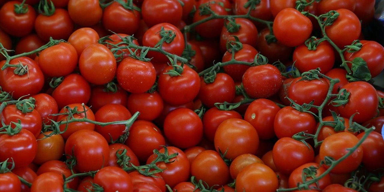 Rusya, Türkiye'den domates ithalat kotasını artırdı