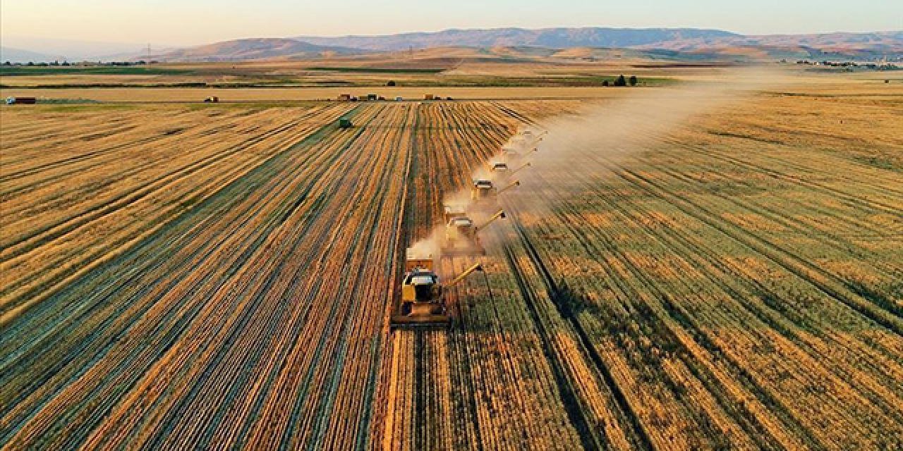 Çiftçilere yaklaşık 96,1 milyon lira tarımsal destek ödemesi bugün yapılacak