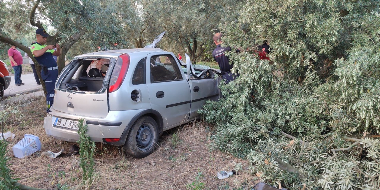 Otomobil zeytinliğe girdi: 1 ölü, 1 ağır yaralı