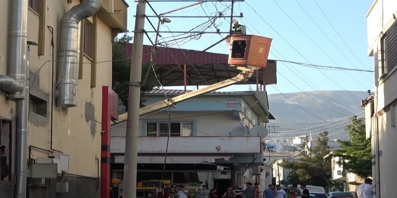 Kopan elektrik kabloları çevreye korku saçtı