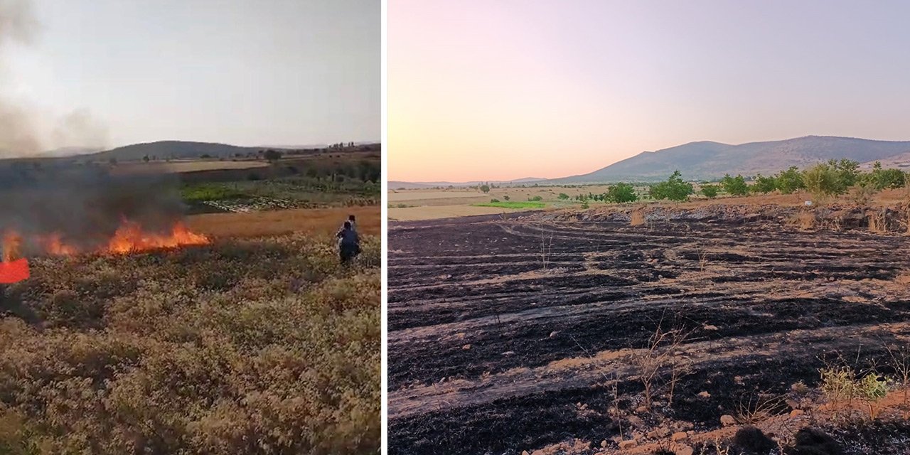 Konya'da arpa ekili tarla yandı