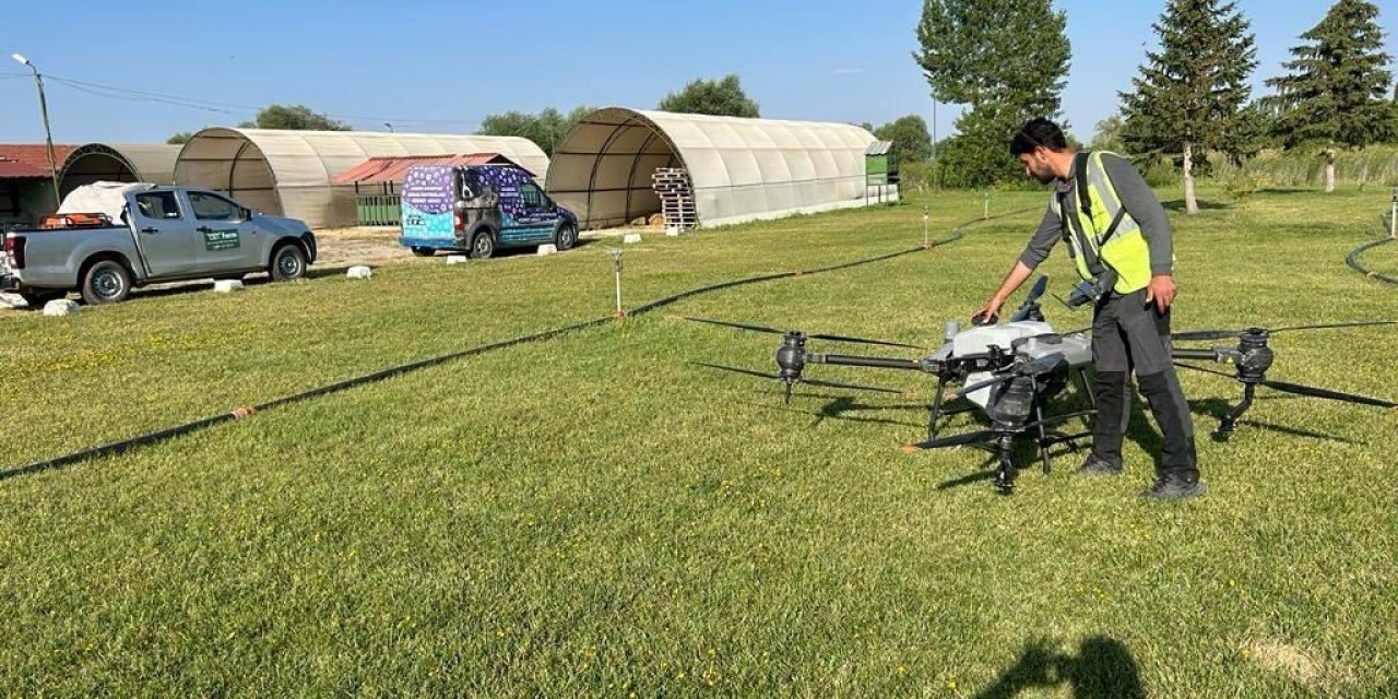 Konya'da kronomid sineğine dron ile mücadele