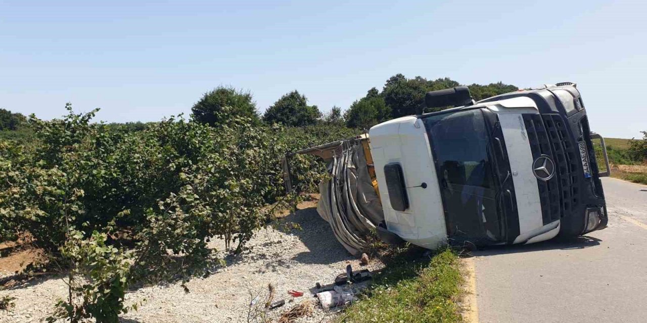 Kontrolden çıkan kamyon devrildi, sürücüsü yaralandı