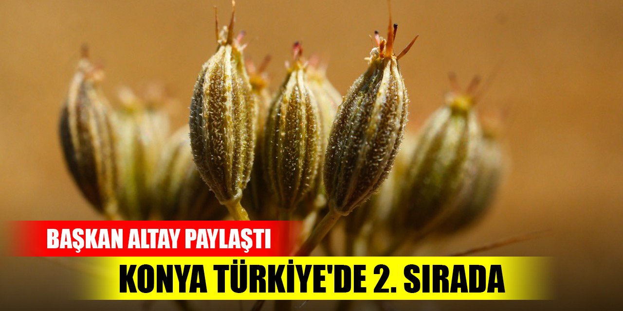 Başkan Altay paylaştı: Konya Türkiye'de 2. sırada