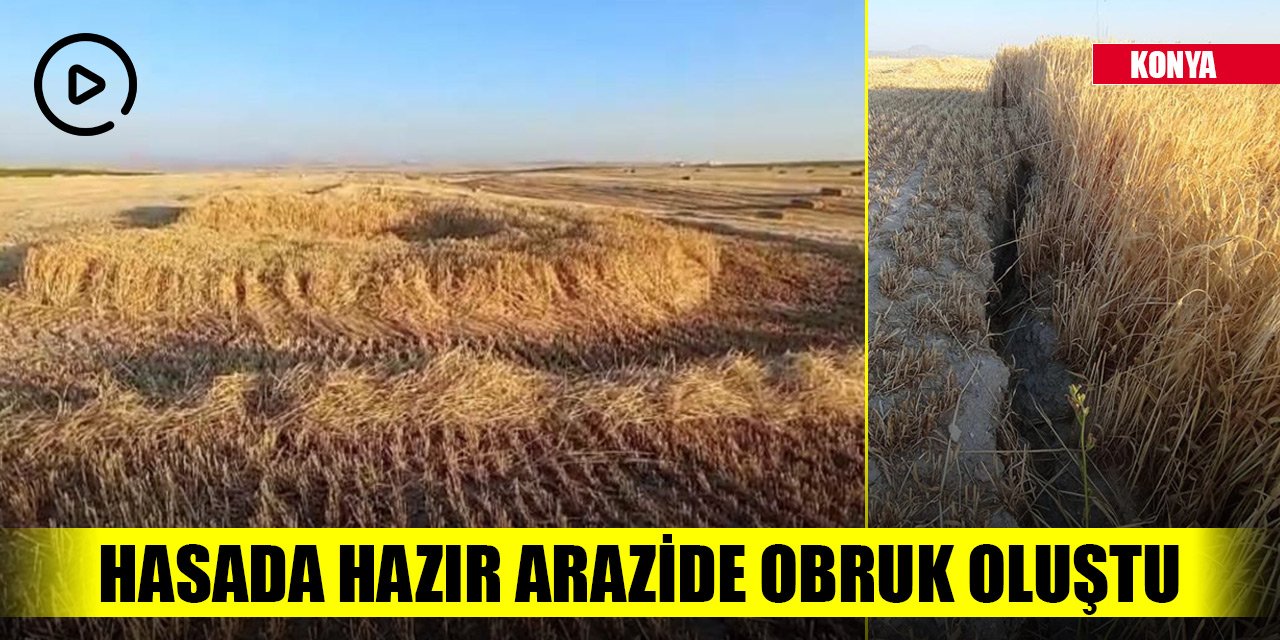 Konya'da hasada hazır arazide obruk oluştu
