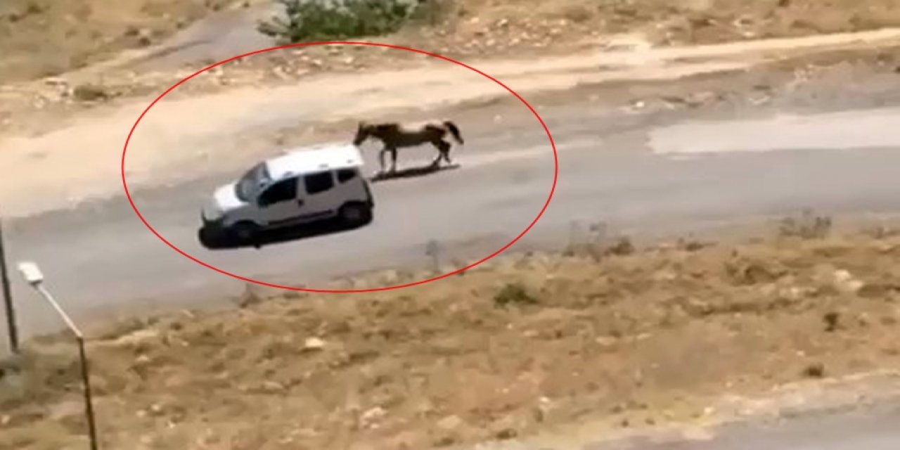 Hafif ticari aracına bağladığı atı koşturarak götürdü