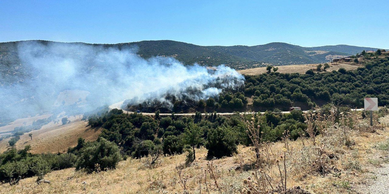 Orman yangını büyümeden söndürüldü