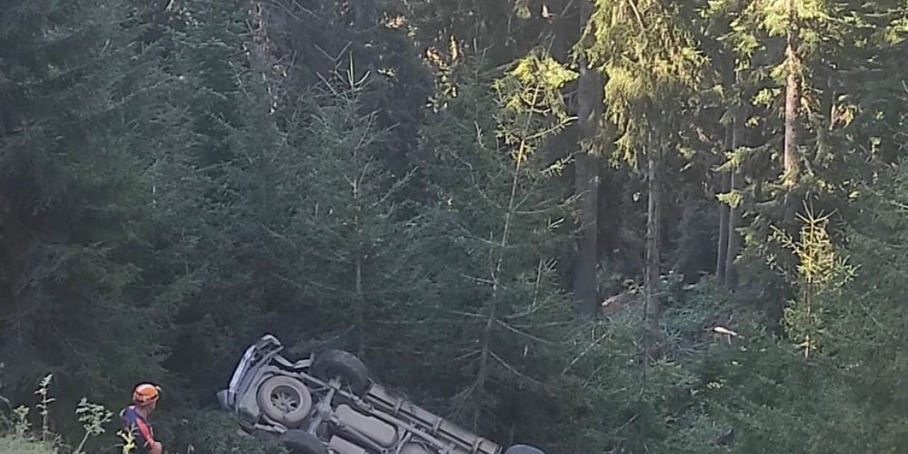 Yamaçtan yuvarlanan ağaç kamyonete çarptı: 1 ölü, 1 yaralı