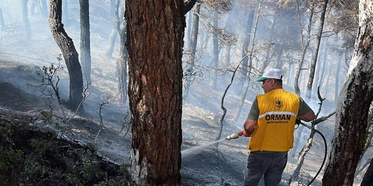 İki ilde orman yangını: Ekipler seferber oldu