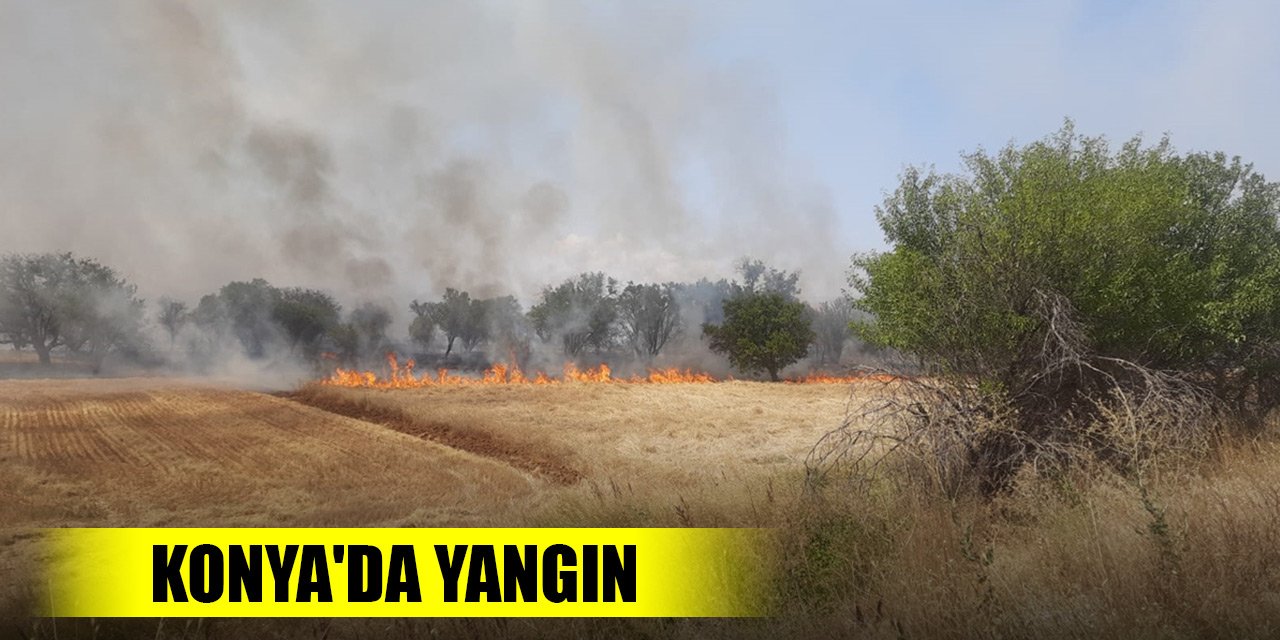Konya'da yangın! 2 dönüm arpa ekili alan ile 60 badem ağacı kül oldu