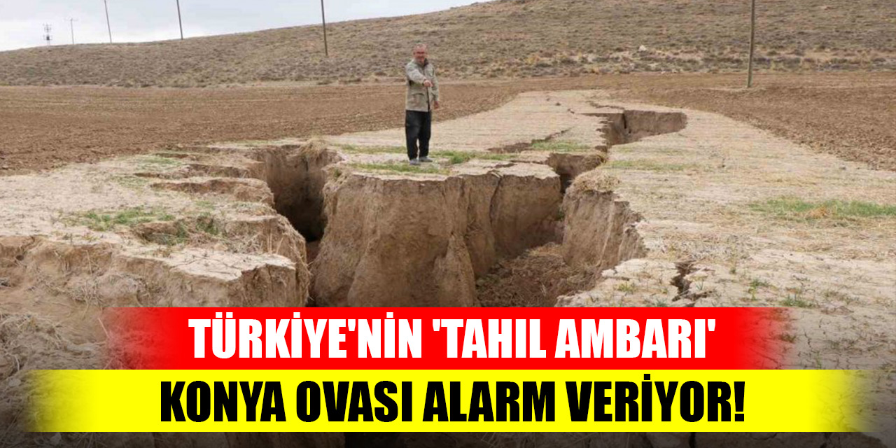 Türkiye'nin 'tahıl ambarı' Konya Ovası alarm veriyor! Kuraklık tehlikesiyle karşı karşıya