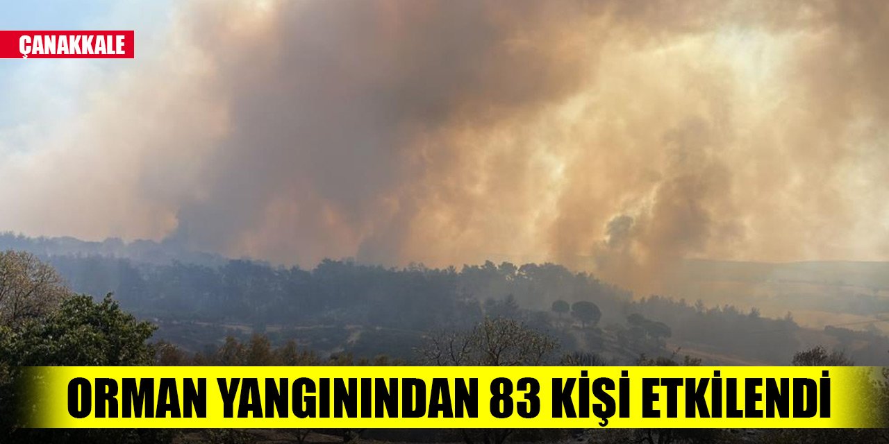 Son Dakika! Çanakkale’deki orman yangınından 83 kişi etkilendi