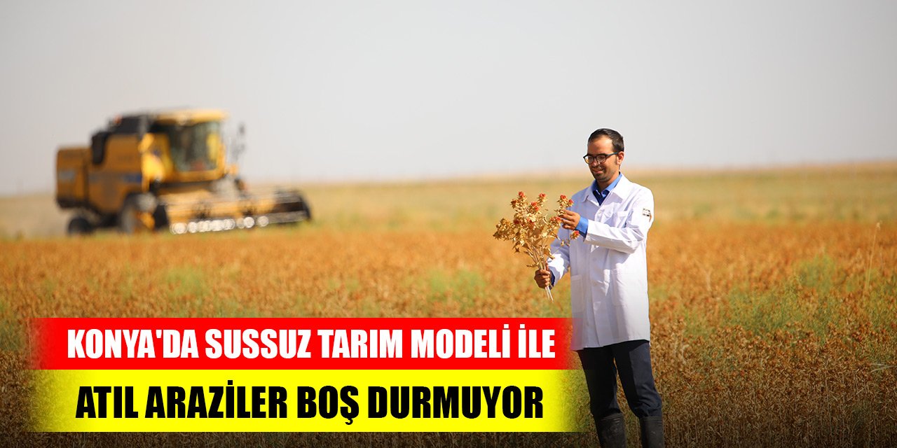 Konya'da sussuz tarım modeli ile atıl araziler boş durmuyor