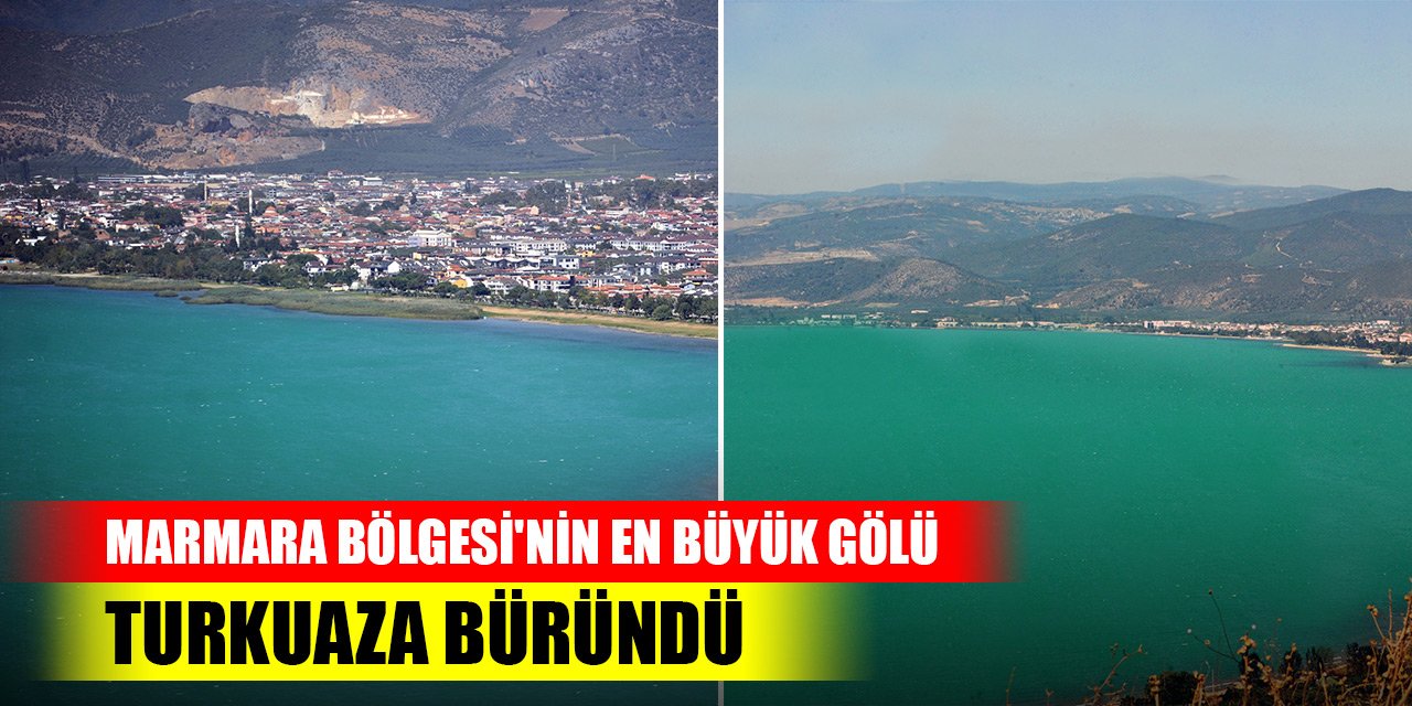 Marmara Bölgesi'nin en büyük gölü turkuaza büründü! Sebebi ise...