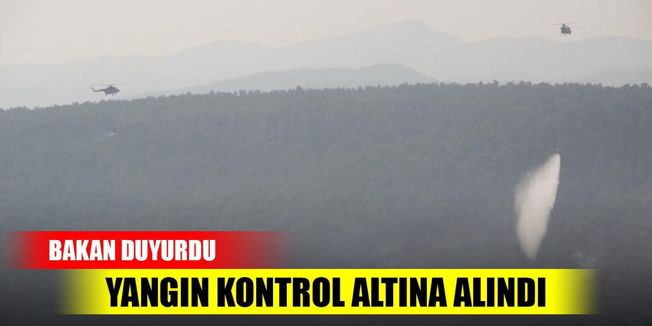 Son Dakika! Çanakkale'deki yangın kontrol altına alındı