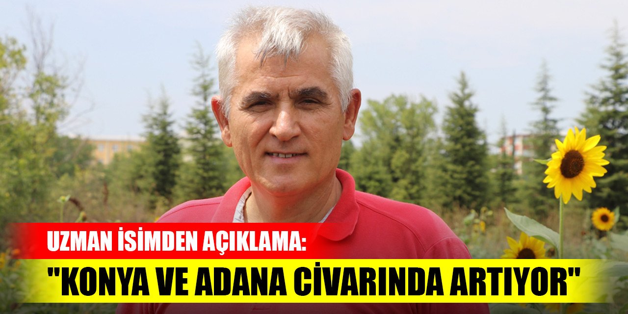 Uzman isimden kurak bölgelerde ekim açıklaması: "Konya ve Adana civarında artıyor"