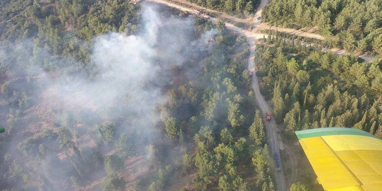İzmir'deki orman yangını kontrol altında