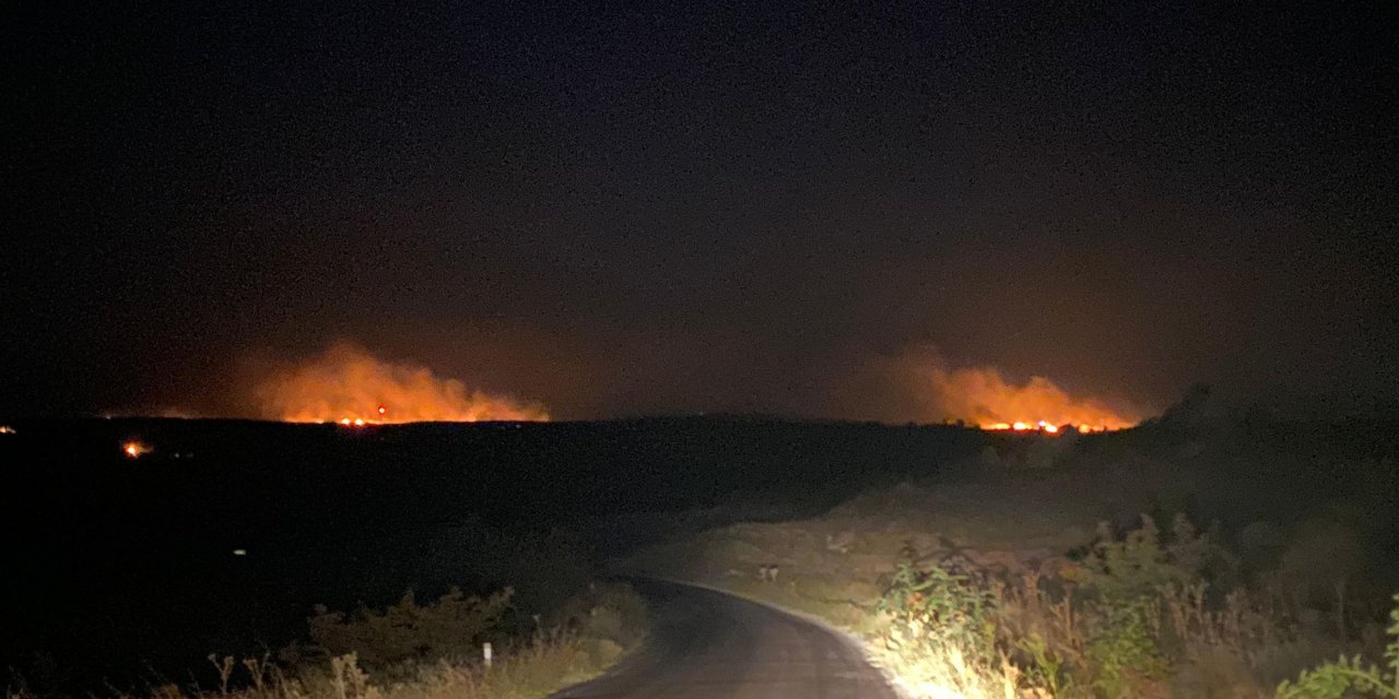 Bulgaristan'ın Türkiye sınırında orman yangını