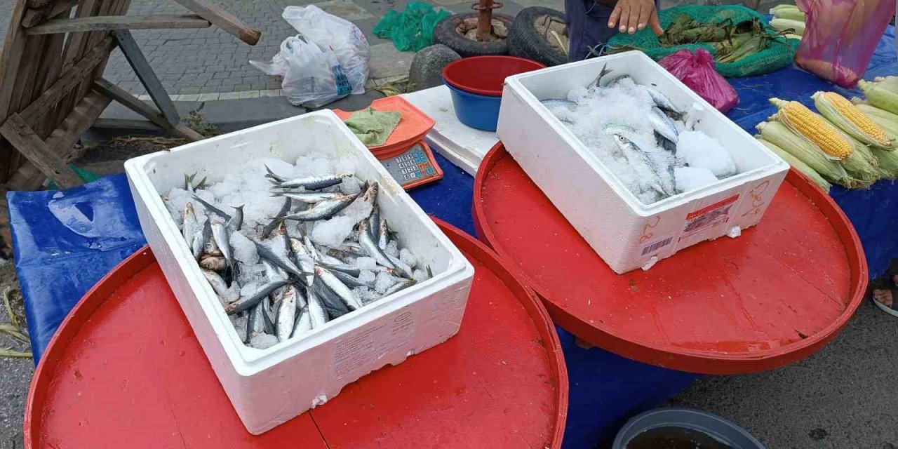 Av sezonu başladı, fiyatlar geriledi