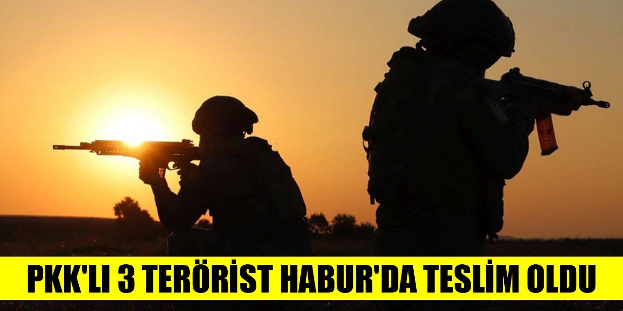 Irak'ın kuzeyindeki barınma alanlarından kaçan PKK'lı 3 terörist Habur'da teslim oldu
