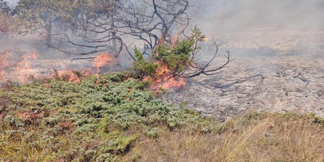 Bir ilde daha orman yangını 1 saatte kontrol altına alındı