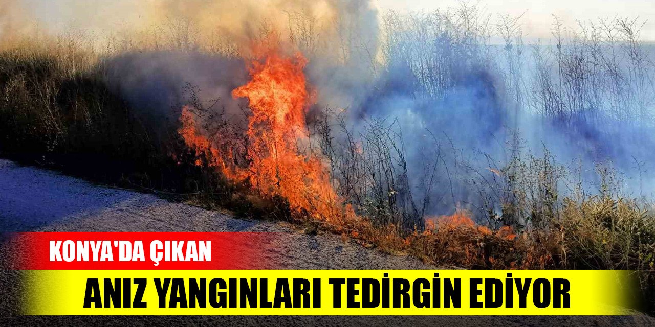 Konya'nın iki ilçesinde çıkan anız yangınları tedirgin ediyor