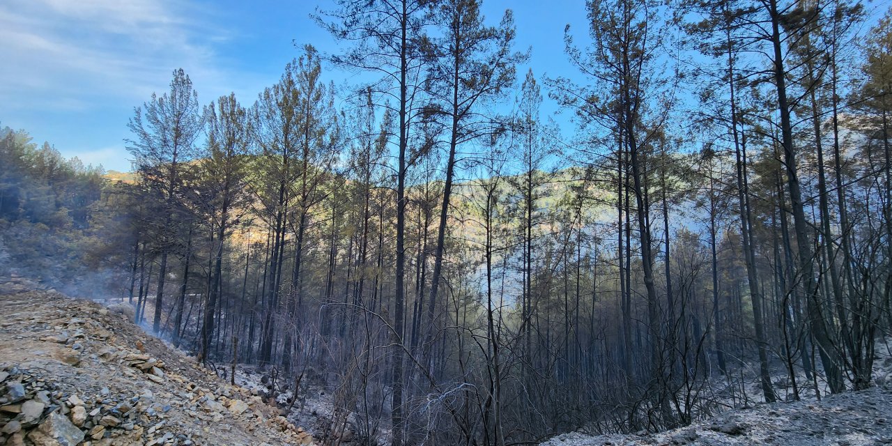Alanya'daki orman yangınında 2'nci gün