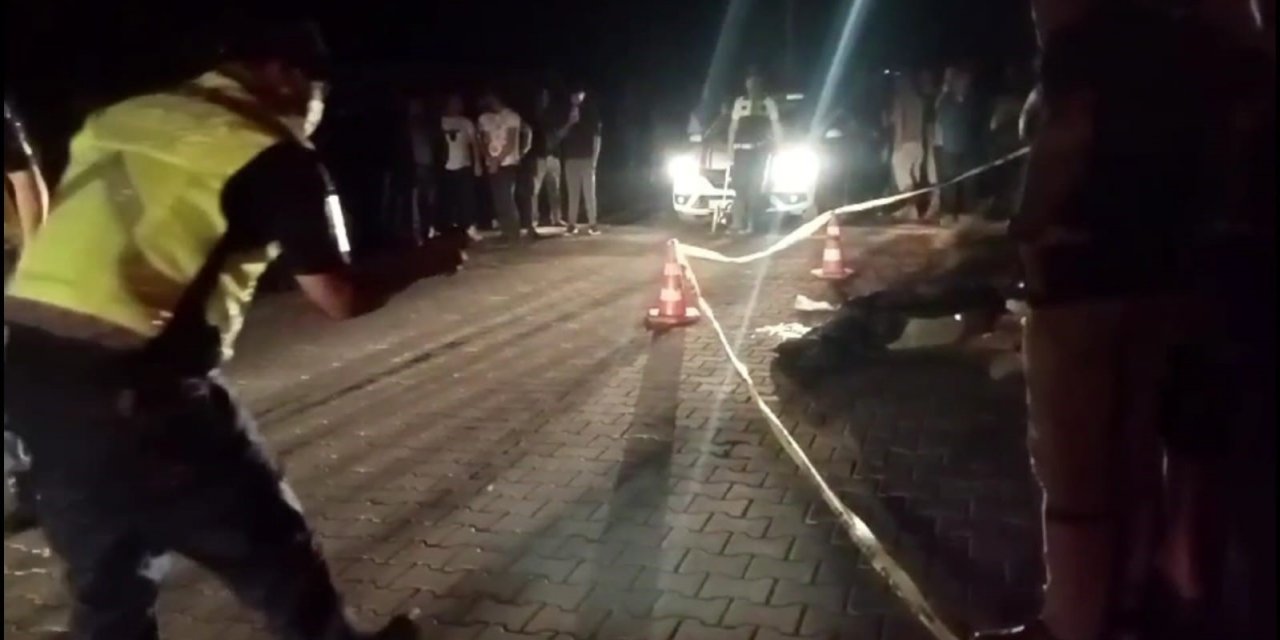 Telefon direğine çarpan motosiklet sürücü hayatını kaybetti