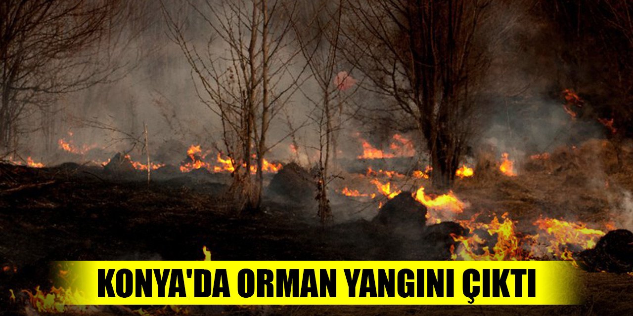 Son Dakika! Konya'da orman yangını çıktı