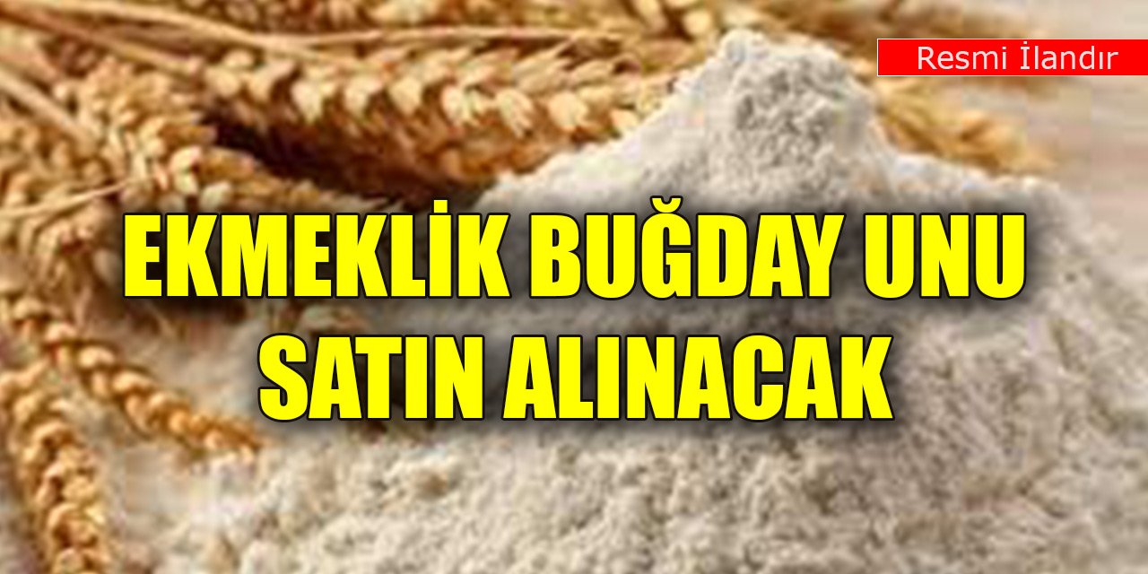 Konya'daki belediye ekmeklik buğday unu satın alacak