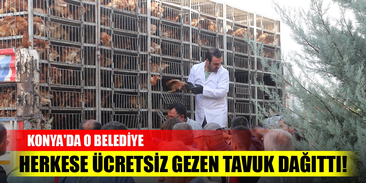 Konya'da o belediye herkese ücretsiz gezen tavuk dağıttı