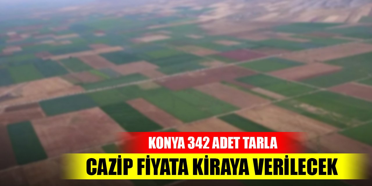 Konya Seydişehir'de 342 adet tarla cazip fiyata kiraya verilecek