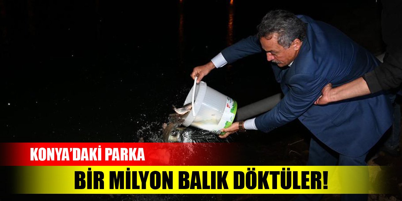 Konya'daki parka bir milyon balık döktüler!