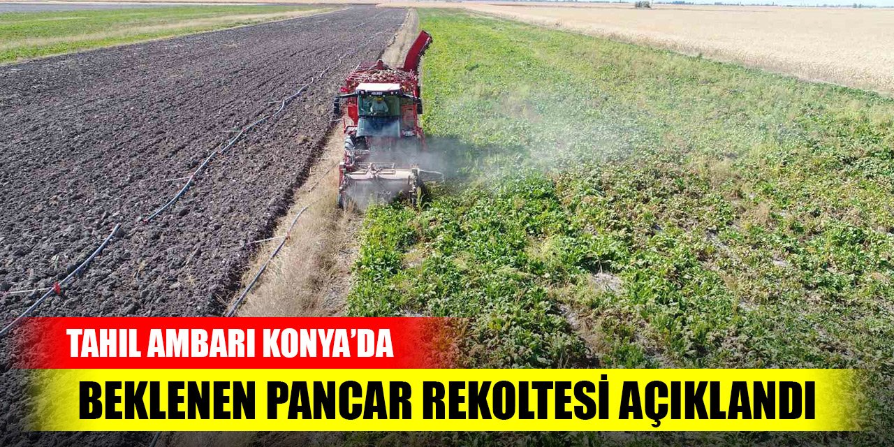 Tahıl ambarı Konya’da beklenen pancar rekoltesi açıklandı