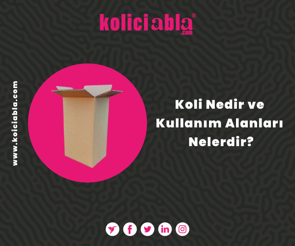 Koli Nedir ve Kullanım Alanları Nelerdir?