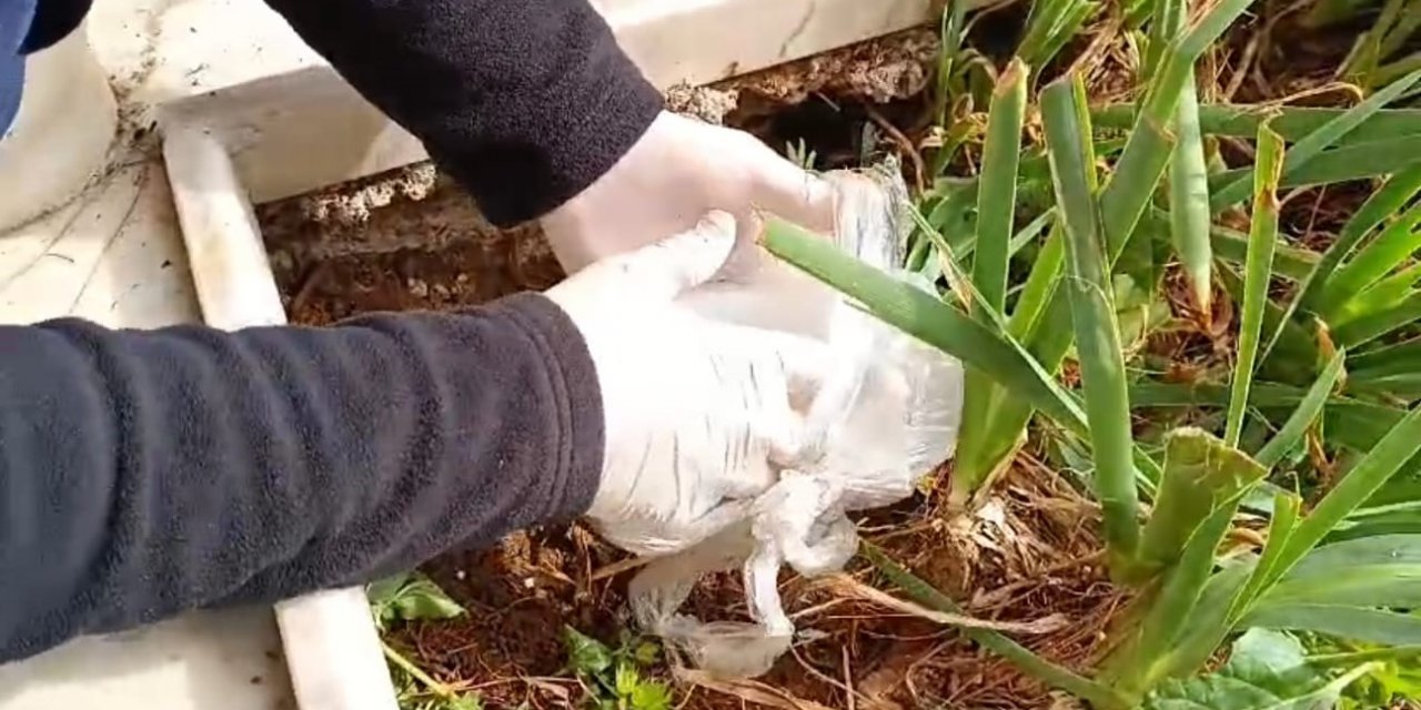 Dedesinin mezarına bunu da yaptı!