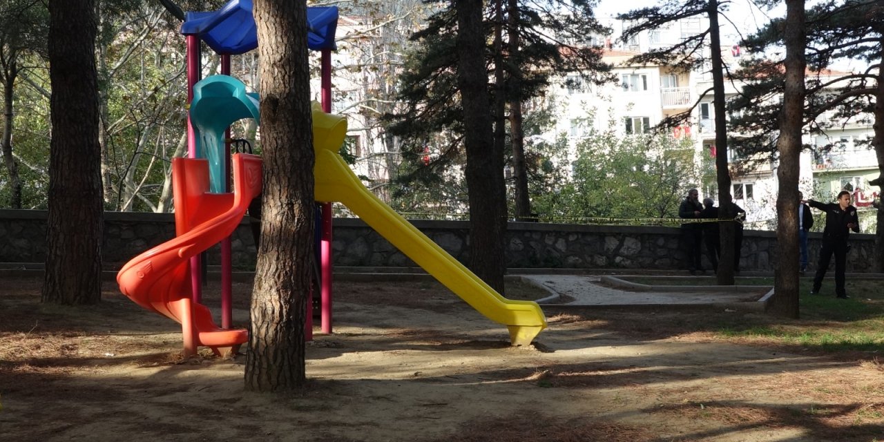 Çocuk parkında ağaca asılı kadın cesedi bulundu
