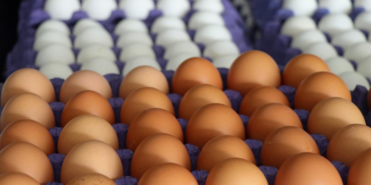 Rekabet’ten yumurta üreticilerine “kartel” cezası