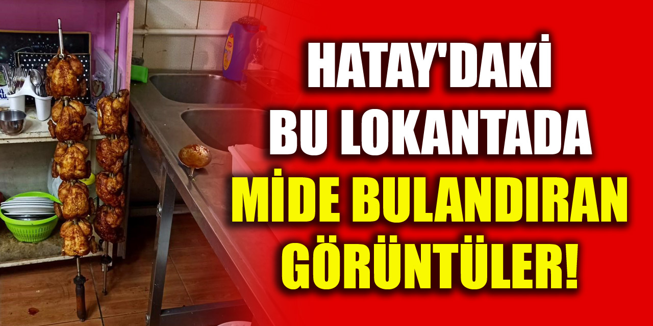 Hatay'daki bu lokantada mide bulandıran görüntüler!