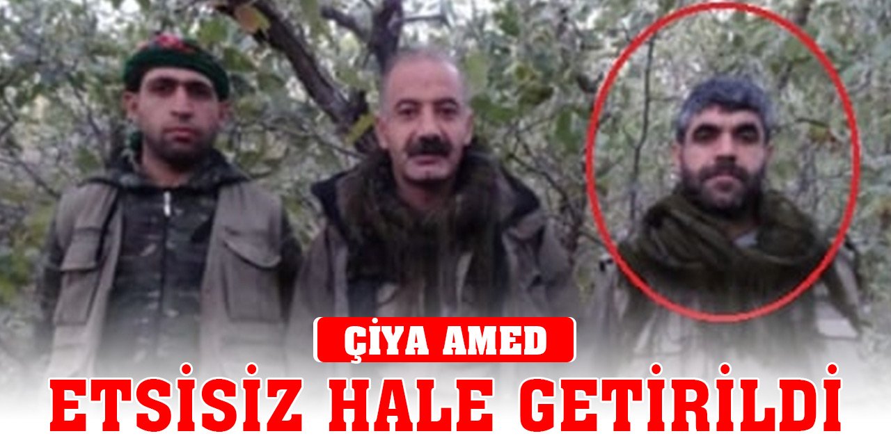 Son Dakika! MİT'ten nokta operasyon! PKK'lı Remzi Avcı etkisiz hale getirildi