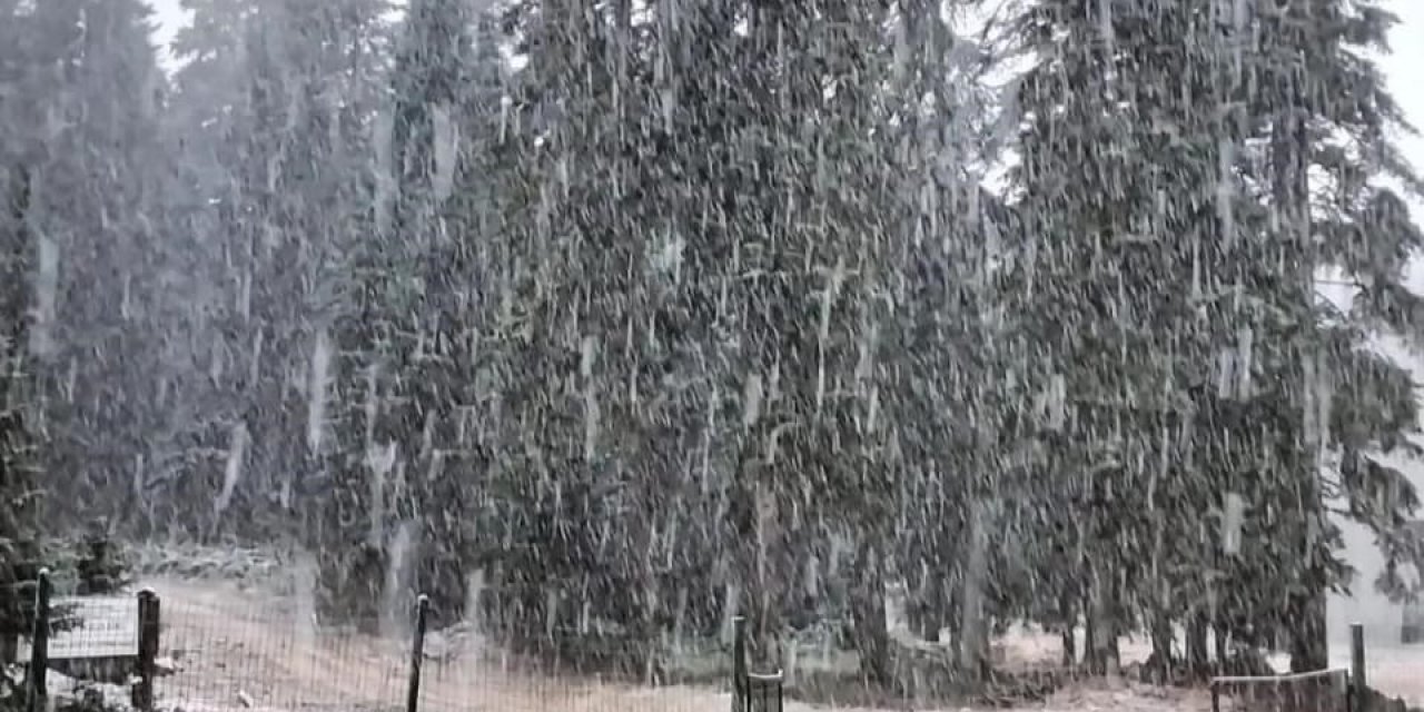 İki şehirde mevsimin ilk kar yağışı başladı