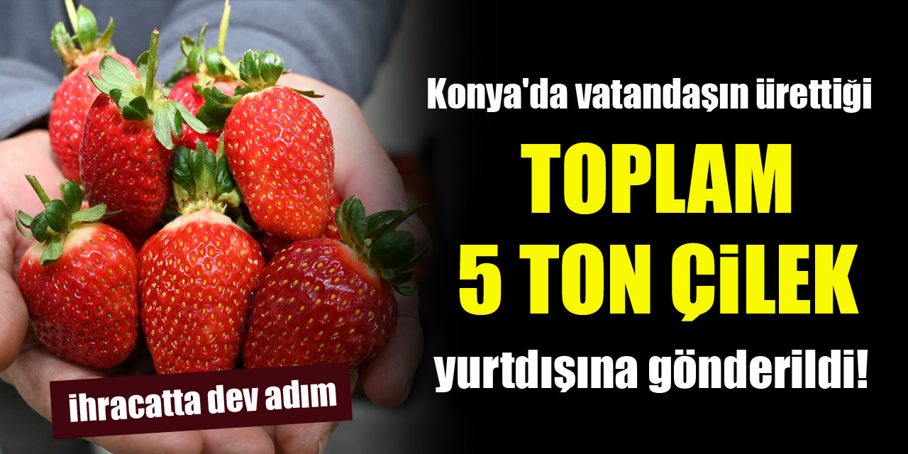 Konya'da vatandaşın ürettiği toplam 5 ton çilek yurtdışına gönderildi! İhracatta dev adım
