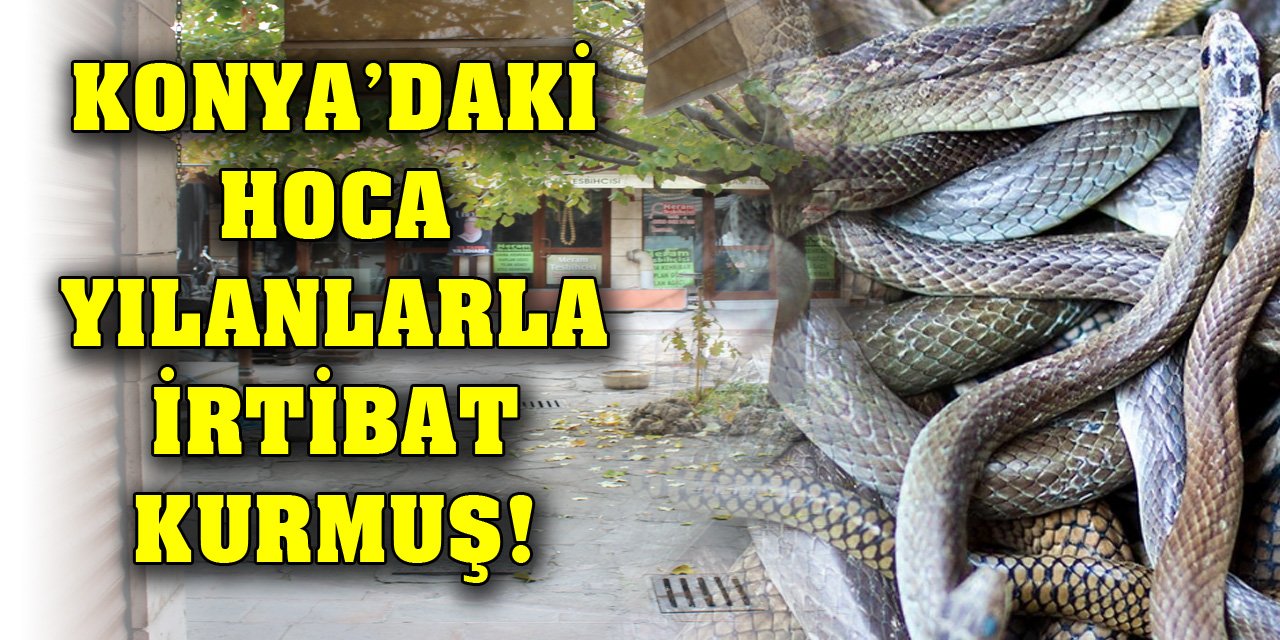 Konya’daki hoca yılanlarla irtibat kurmuş!