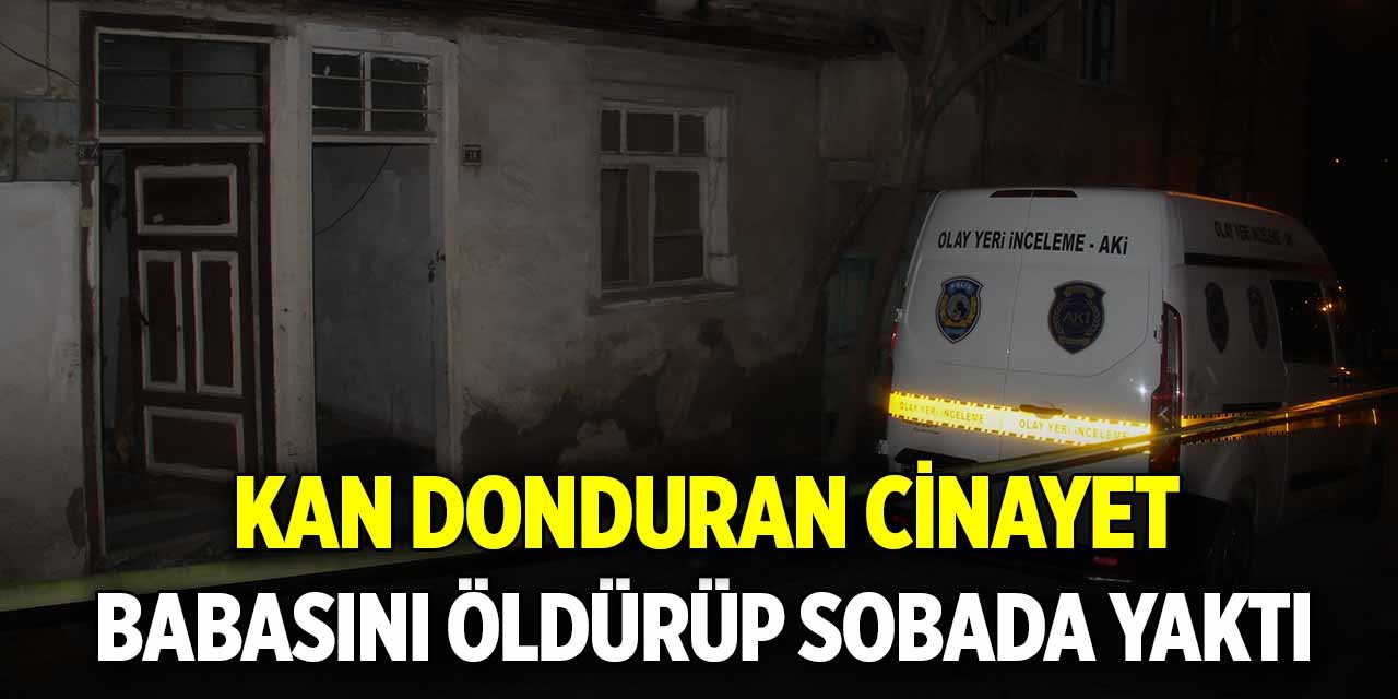 Kan donduran cinayet: Babasını öldürüp sobada yaktı