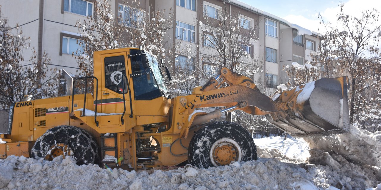 Bitlis'te 49 köy yolu kardan kapandı