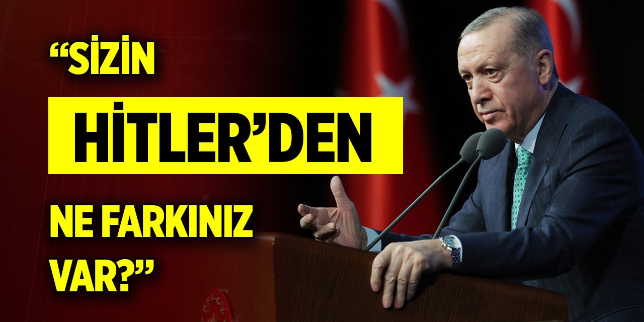 Cumhurbaşkanı Erdoğan: Sizin Hitler'den ne farkınız var?