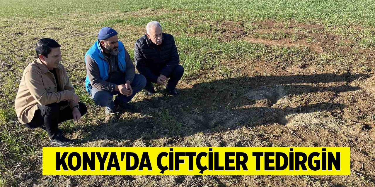 Konya'da çiftçiler tedirgin