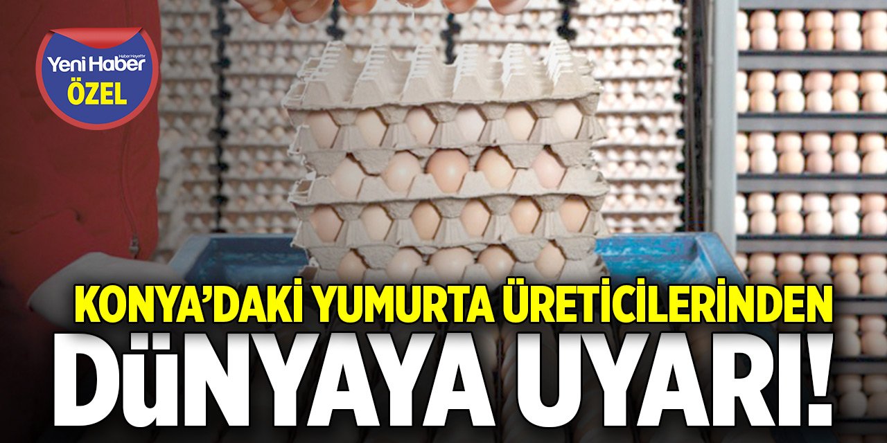 Konya’daki yumurta üreticilerinden dünyaya uyarı!