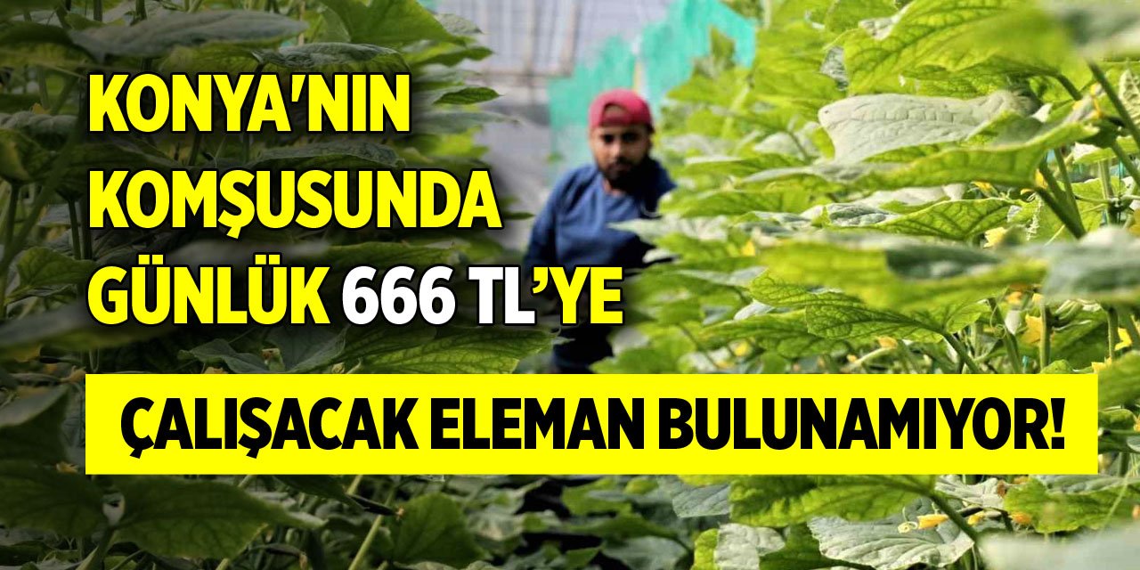 Konya'nın komşusunda günlük 666 TL’ye çalışacak eleman bulunamıyor!