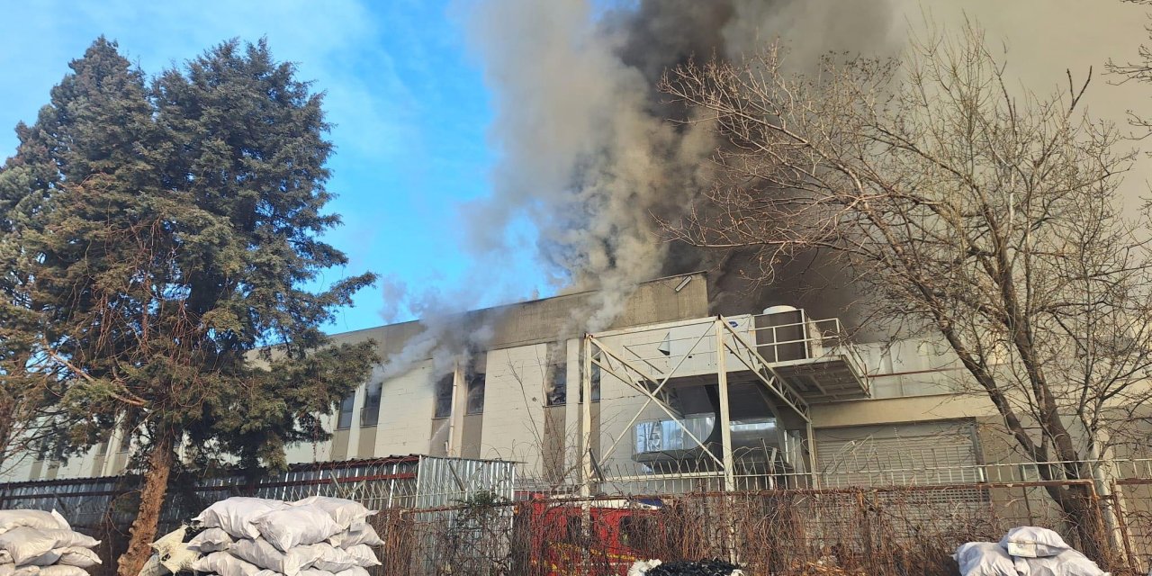 Fabrika cayır cayır yandı